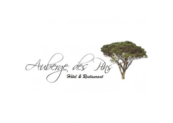 Hôtel-Restaurant : Auberge des Pins