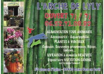 Animalerie : L'arche de Lyly